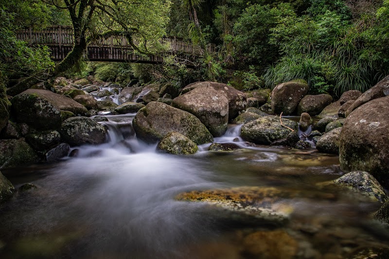 Majestic Waterfall Experience at Wairere Falls, Waikato surrounding landscape