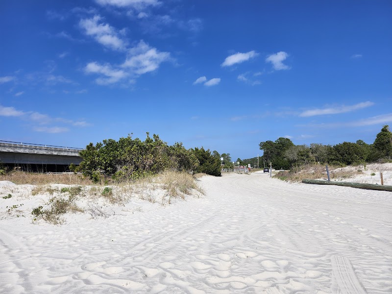 Coastal Beauty and Wildlife at Amelia Island State Park surrounding landscape