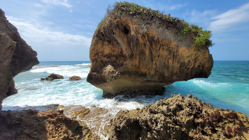 Coastal Wonders at Survival Beach, Aguadilla, Puerto Rico surrounding landscape