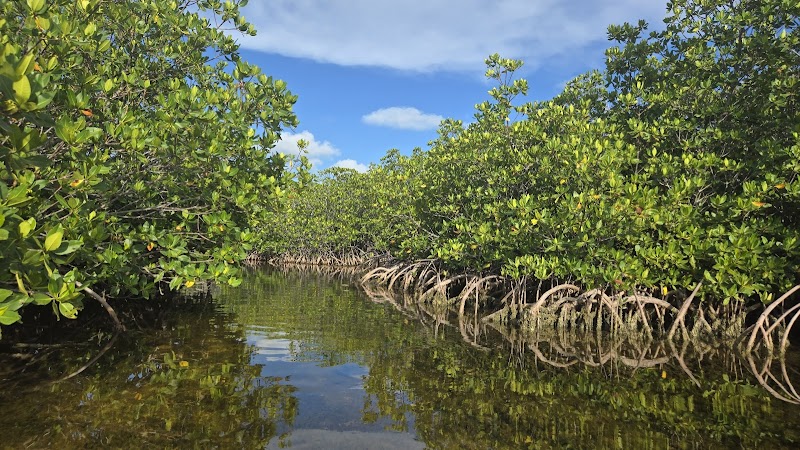 Waterway Wonders at The Paddle Hut, Geiger Key - The Paddle Hut at Geiger Key