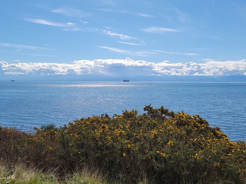 Coastal Views at Clover Point Park, Victoria outdoor detail