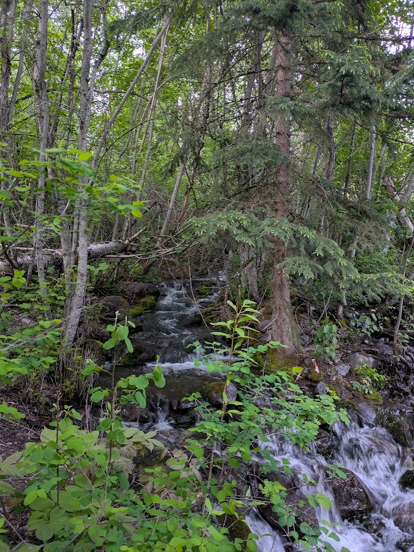 Scenic Hiking at Reservoir Trailhead, Whitefish, MT surrounding landscape