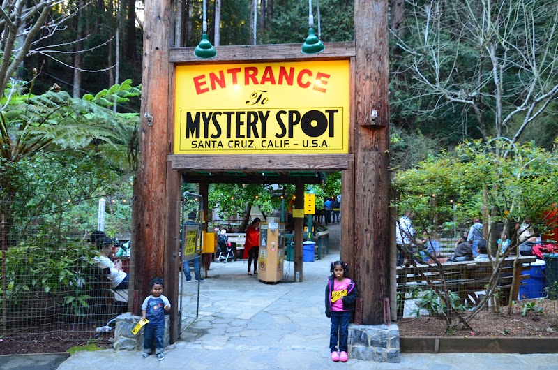 Optical Illusions and Forest Mysteries in Santa Cruz - The Mystery Spot
