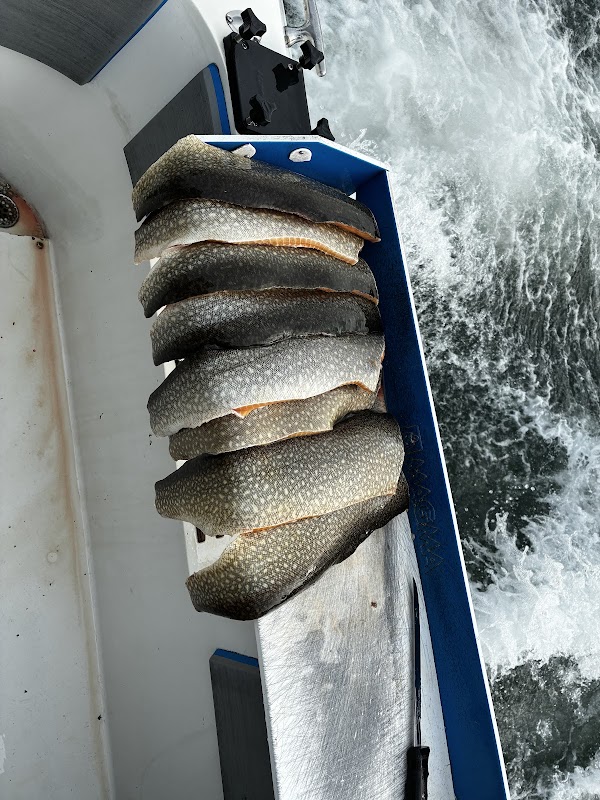 Guided Fishing Charter at Reel Em In Sportfishing Rochester - Rochester