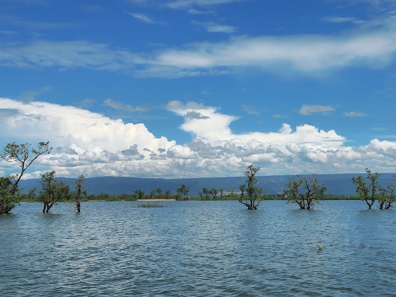 Wetland Wonder in Sunamganj: Tanguar Haor - Tanguar Haor